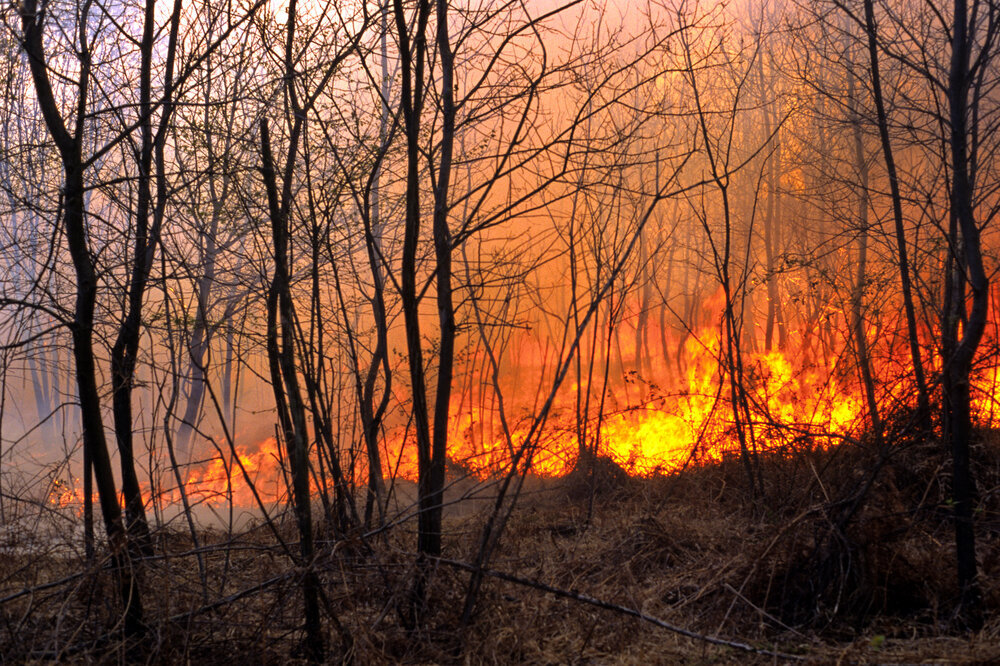 Waldbrand