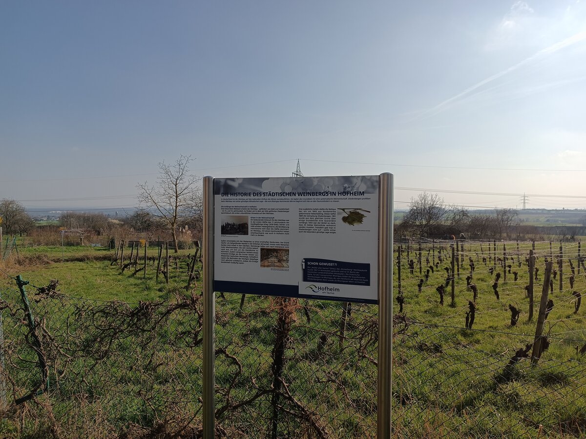 Neue Infotafel zur Historie des Diedenbergener Weinbergs