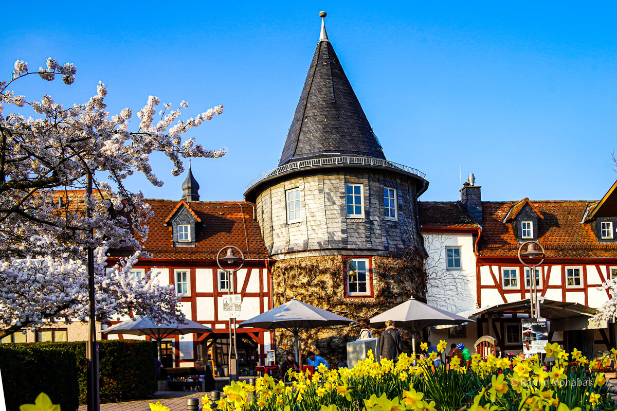 Blick auf die Türmchenzeile im Frühling