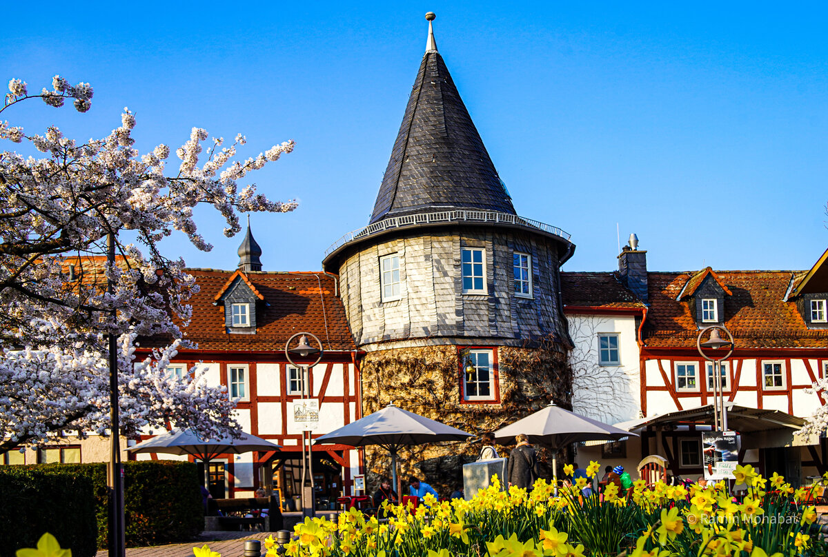 Blick auf die Türmchenzeile im Frühling