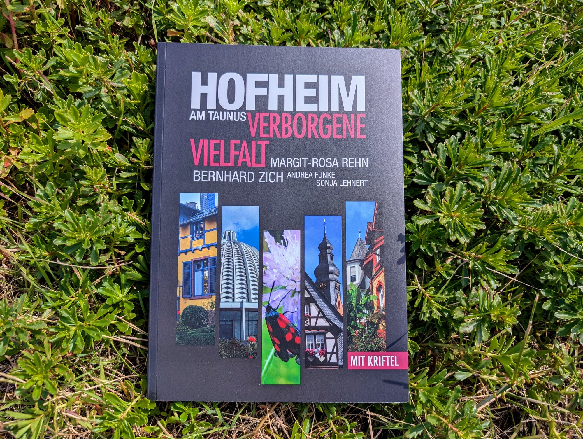 Hofheim-Buch "verborgene Vielfalt"