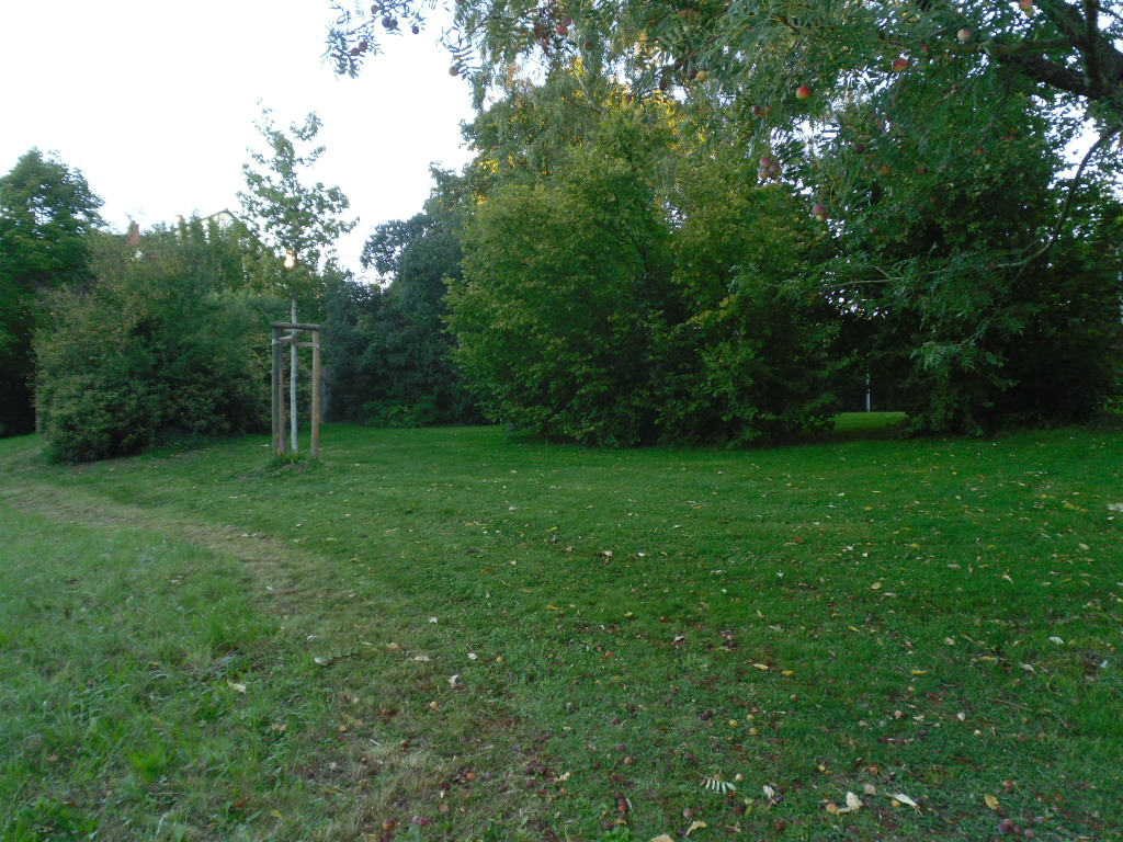 Grünflächen im Park Pfingstweide